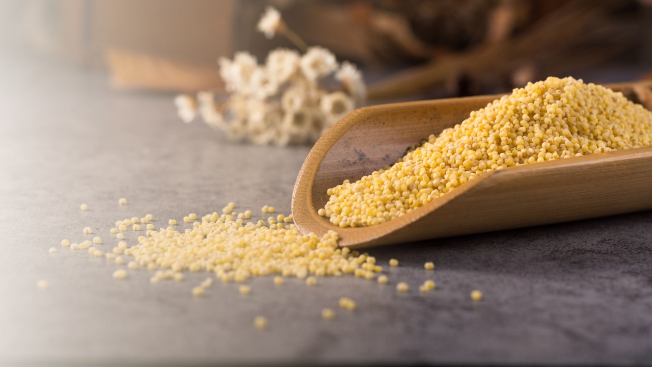 MILLETS - A GROUP OF MIRACLE GRAINS