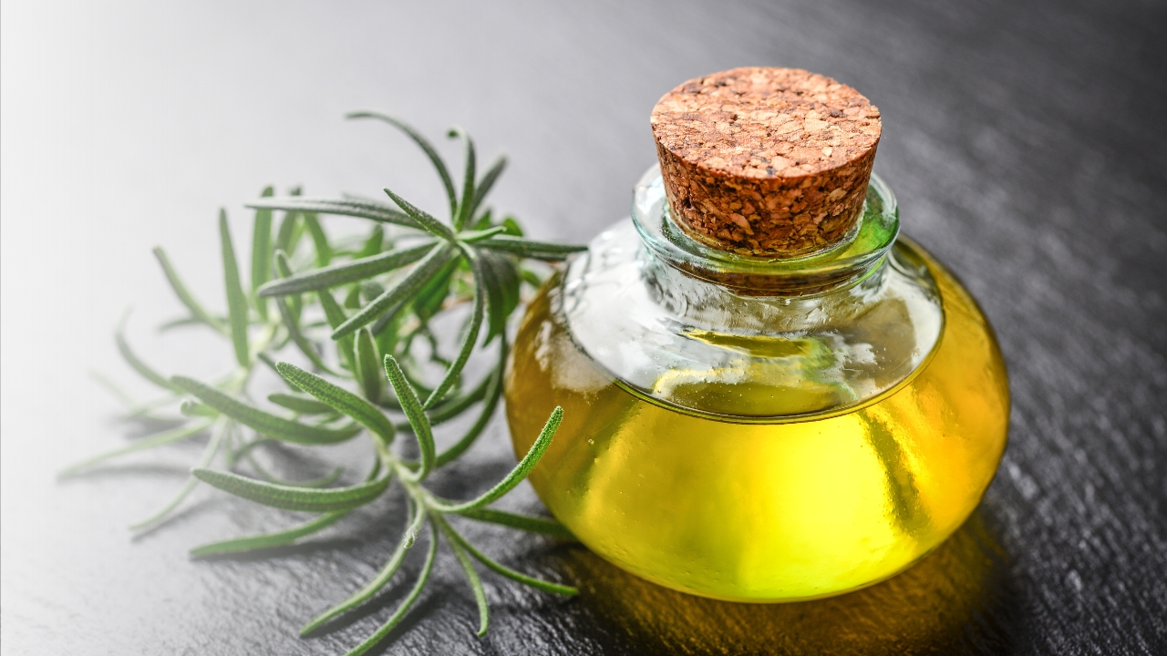 Benefits of Rosemary Oils to Revitalize Hair & Skin