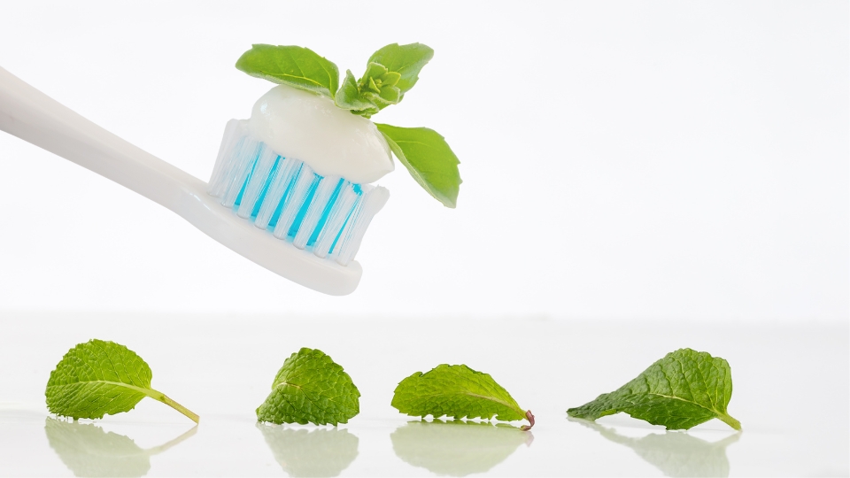 Mint in the Oral Care Industry: A Fresh Perspective on Toothpaste Flavours