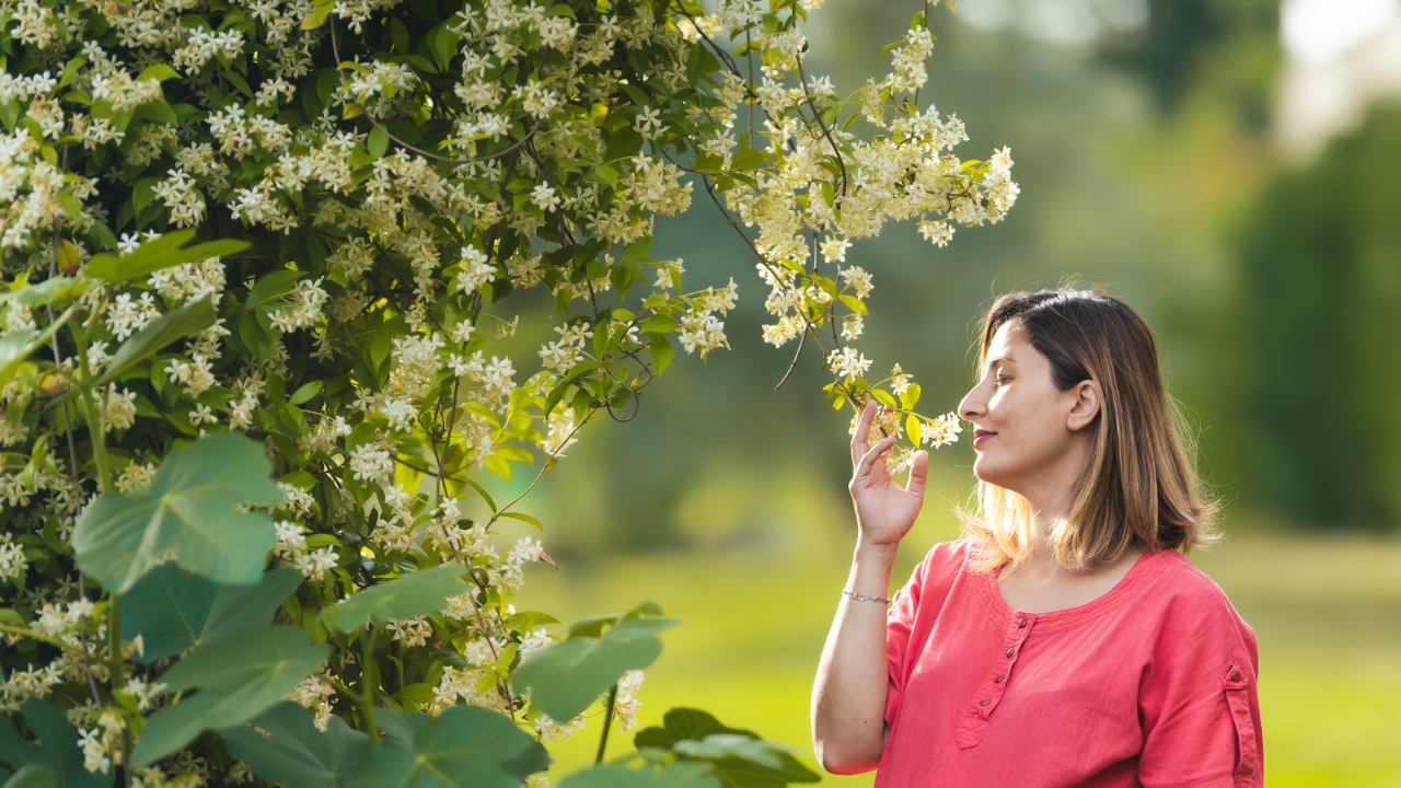 Jasmine Fragrance Benefits: Elevate Mood, Sleep & Well-Being