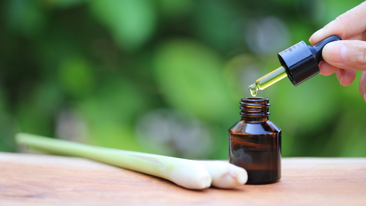 How to Extract Lemongrass Oil: Process, Benefits & FAQs