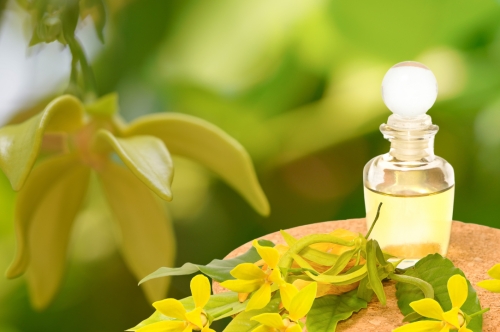 Ylang Ylang Essential Oil Benefits: Unveiling its Allure