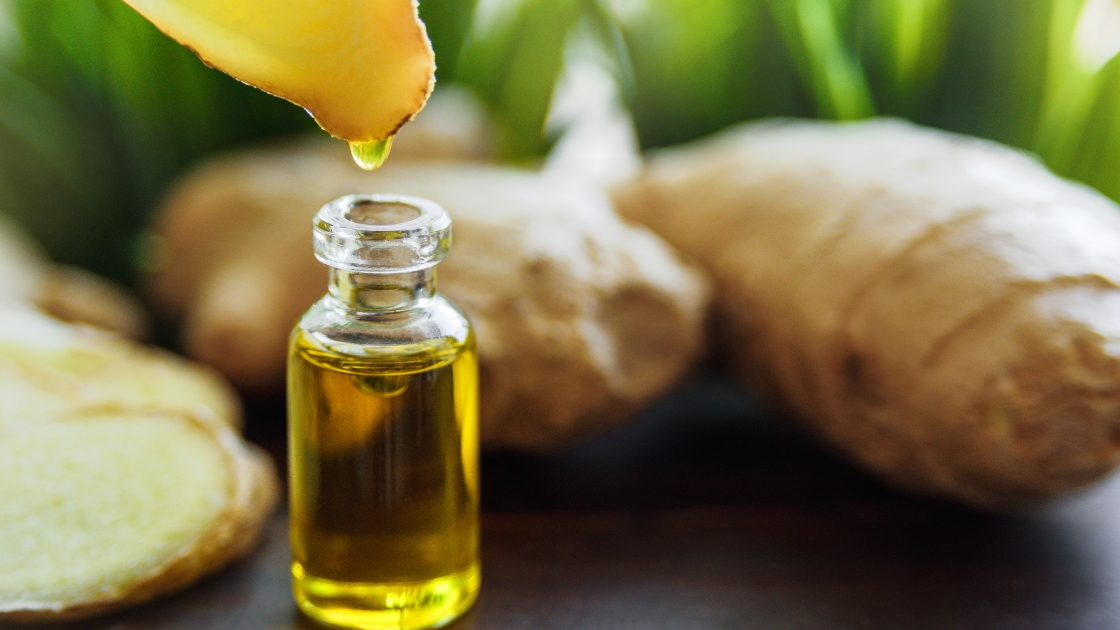 Ginger Essential Oil: Extraction, Benefits, and Applications