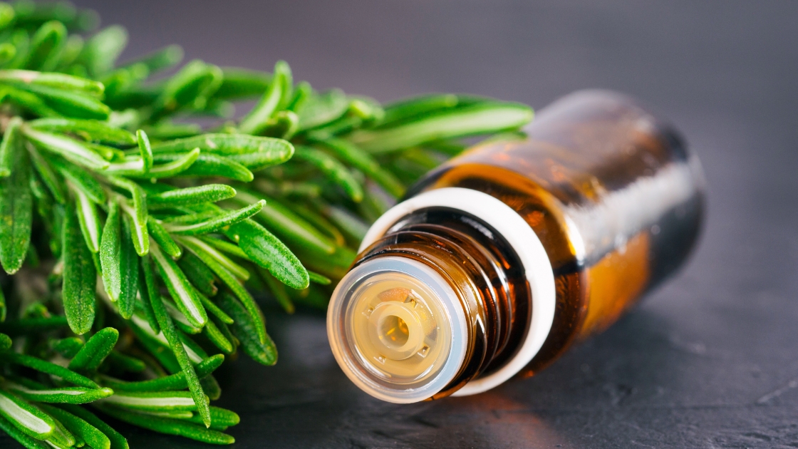 Unlock the Benefits of Rosemary Oil for Skin | Norex