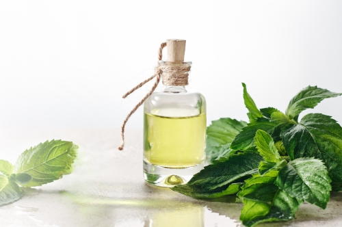 Peppermint Oil Uses, Benefits and Properties