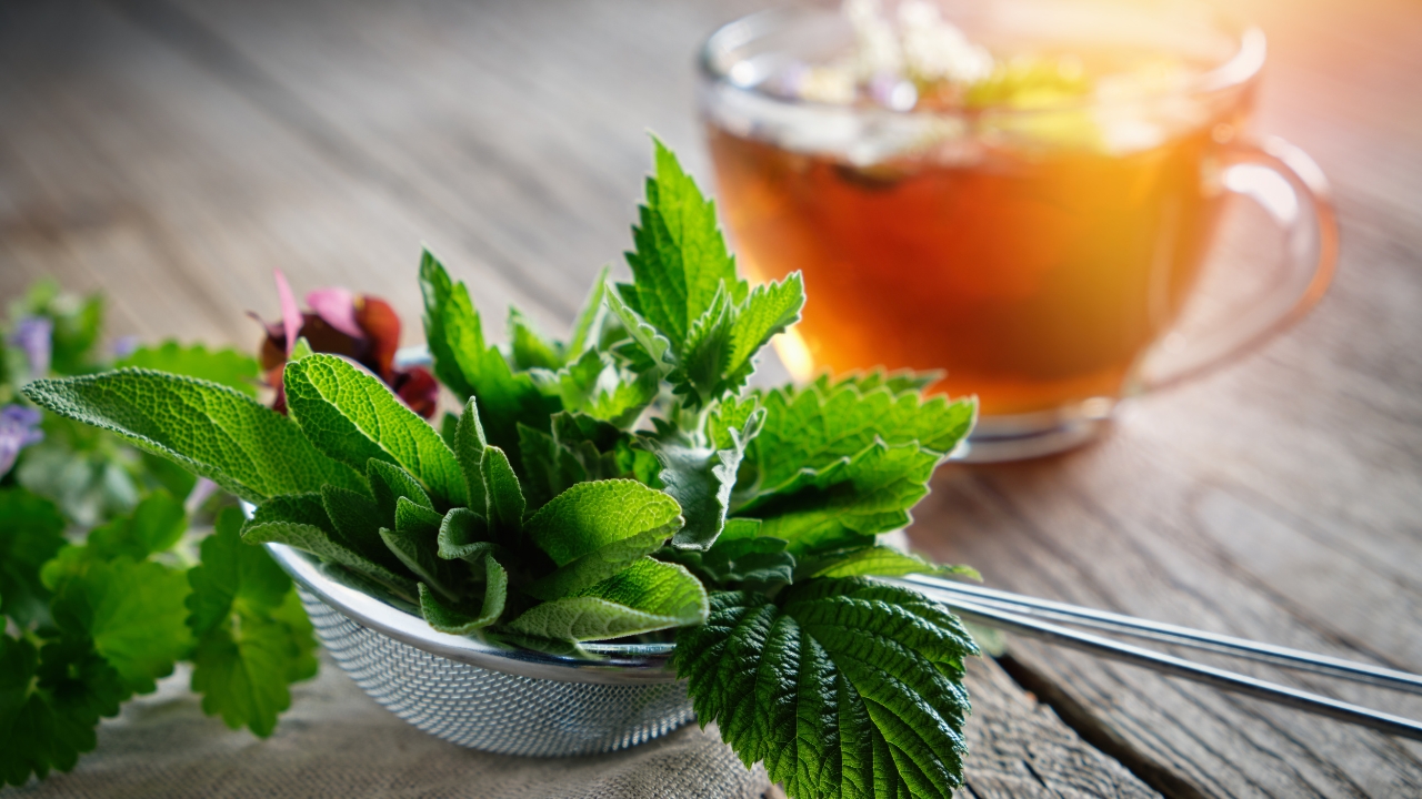 Mint for Health: Discover the Benefits of this Refreshing Herb