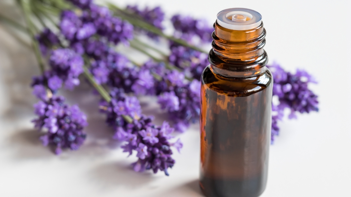10 Benefits of Lavender Essential Oil: Health, Skin & More