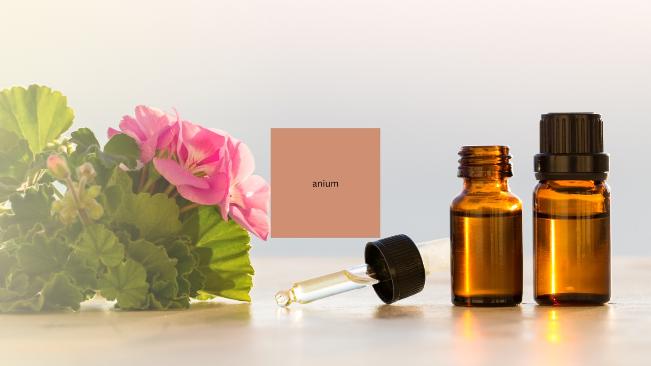 10 Benefits of Geranium Essential Oil Explained