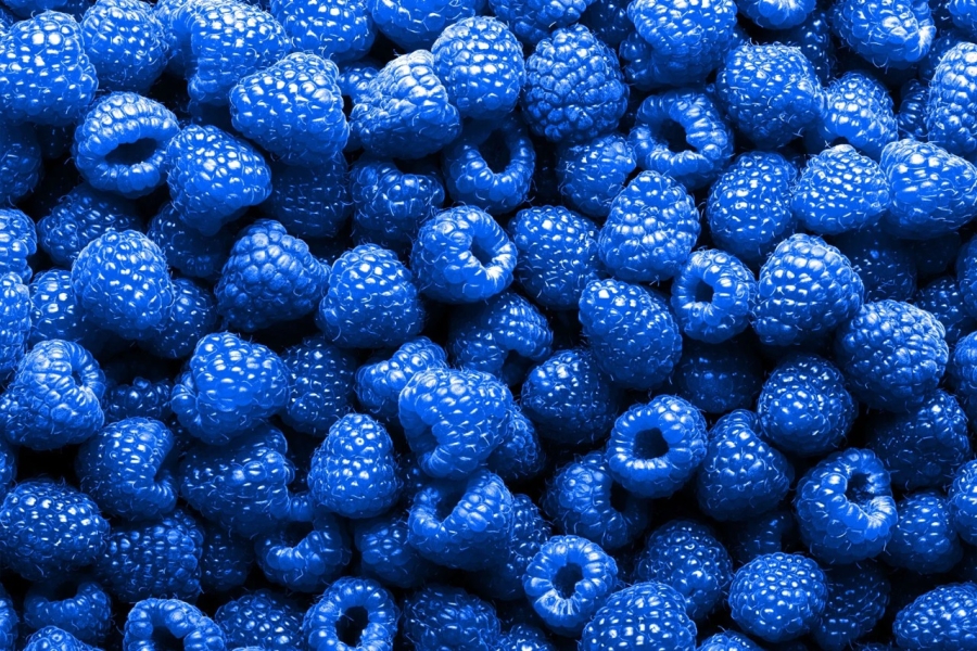 BLUE RASPBERRY