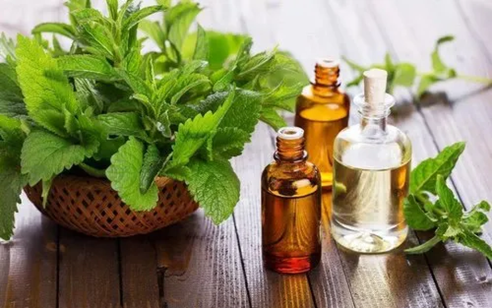 Patchouli Oil