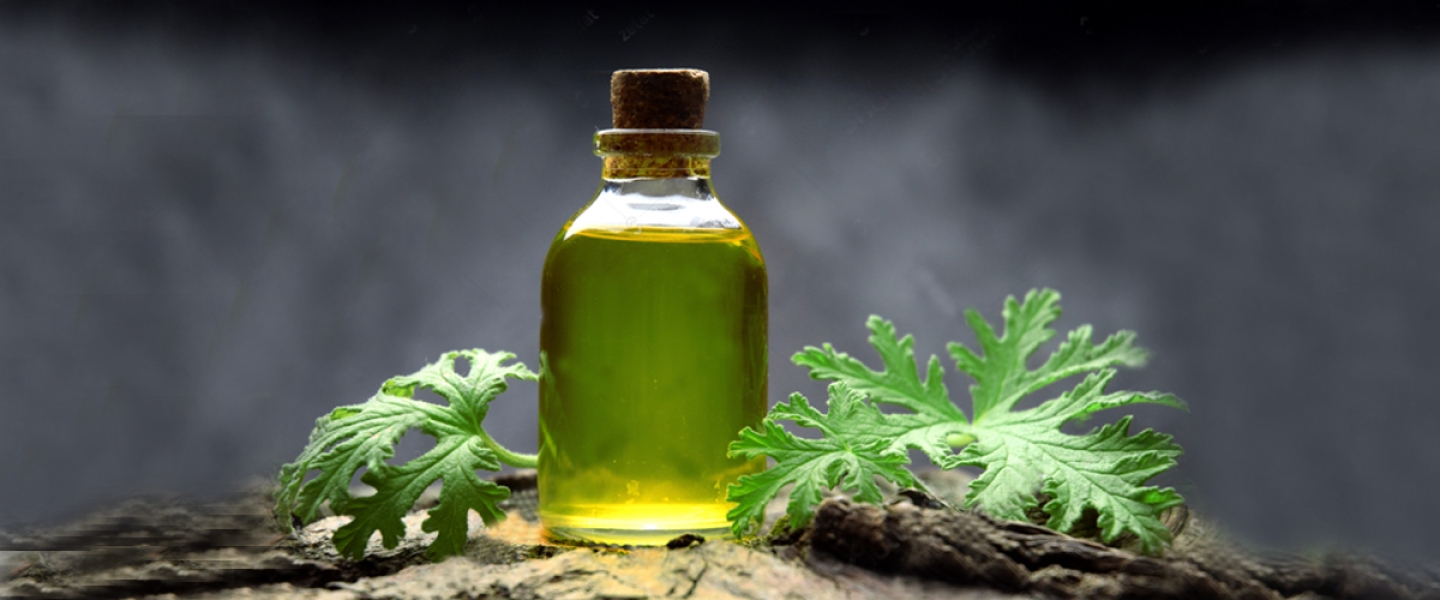 Citronella Oil