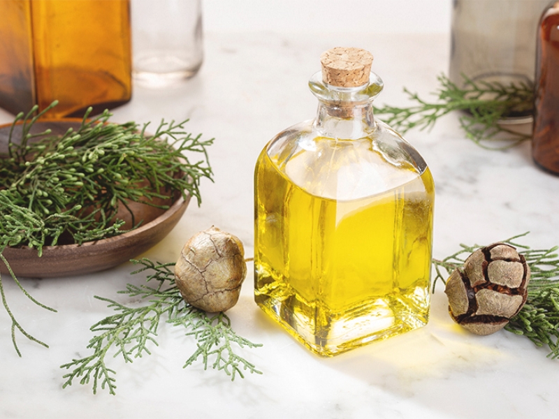 Cypress Oil