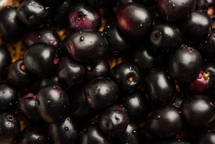 BLACK PLUM