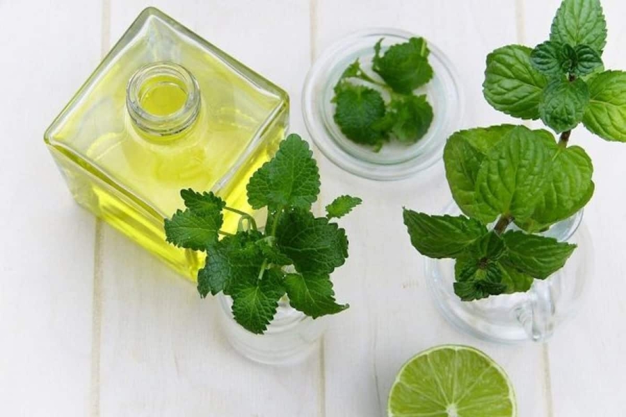 DeMentholised Peppermint Oil (DMO) / Corn mint Oil. (With/Without Terpenes)